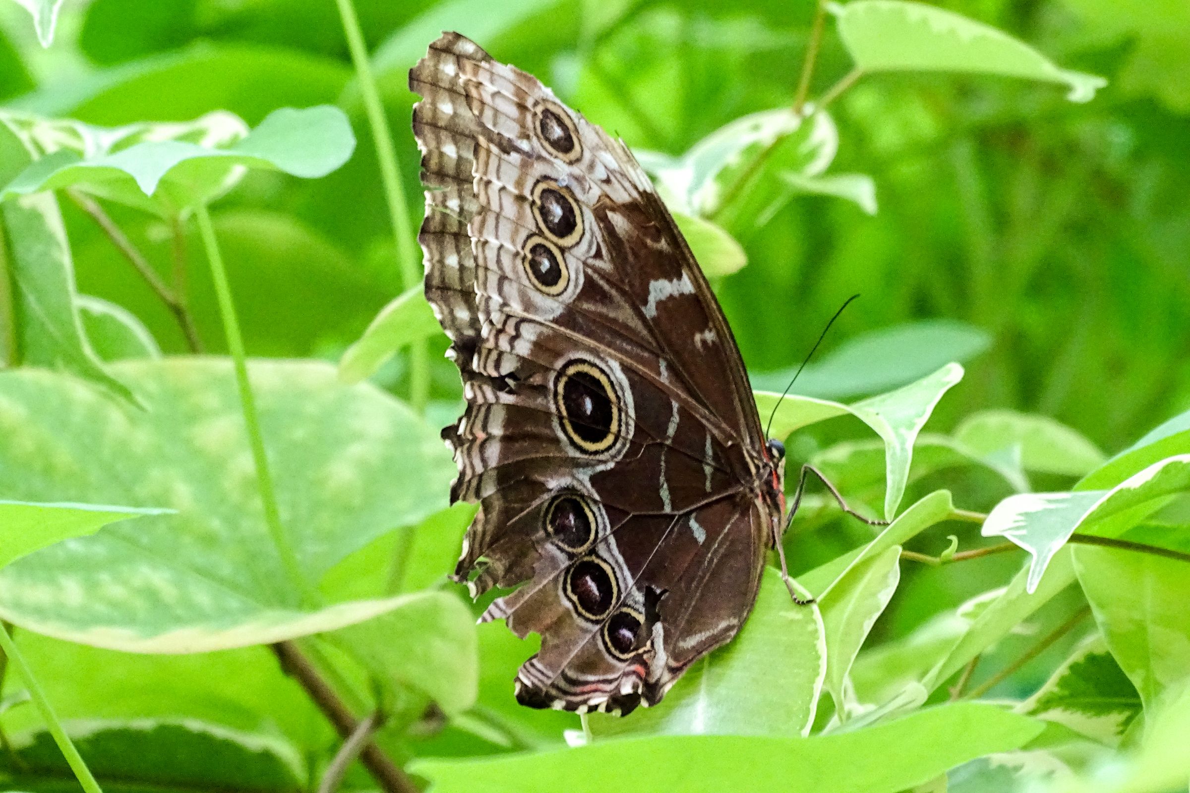 Botanischer Garten Marburg