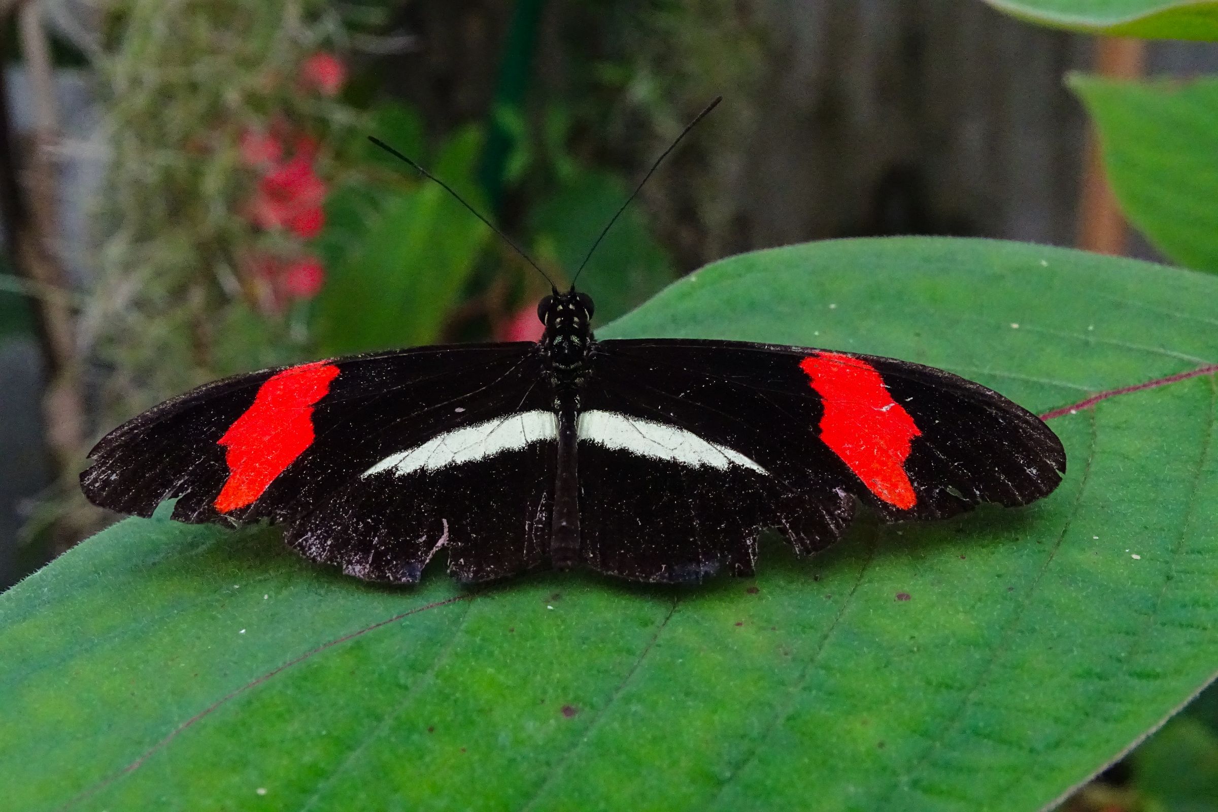Botanischer Garten Marburg