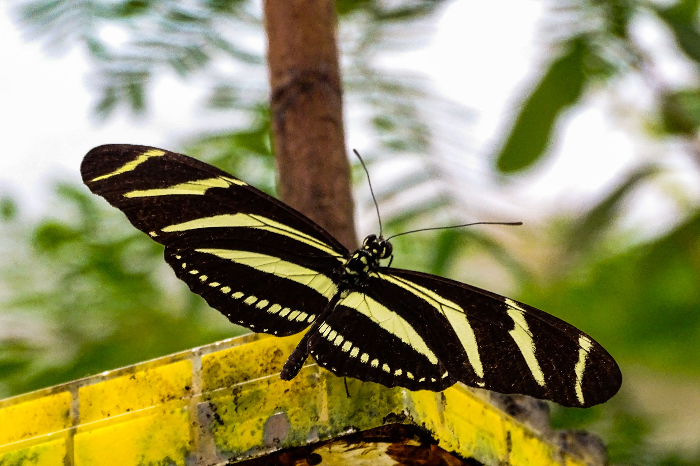 Botanischer Garten Marburg