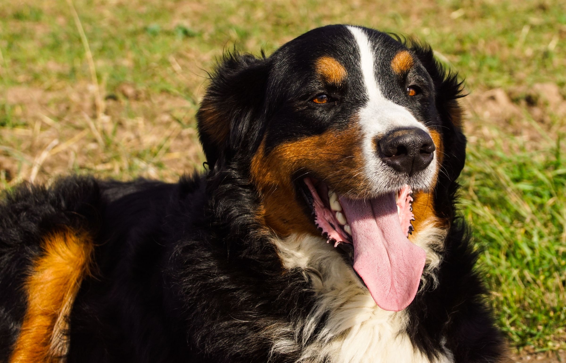 Emil Beinhauer Morschen