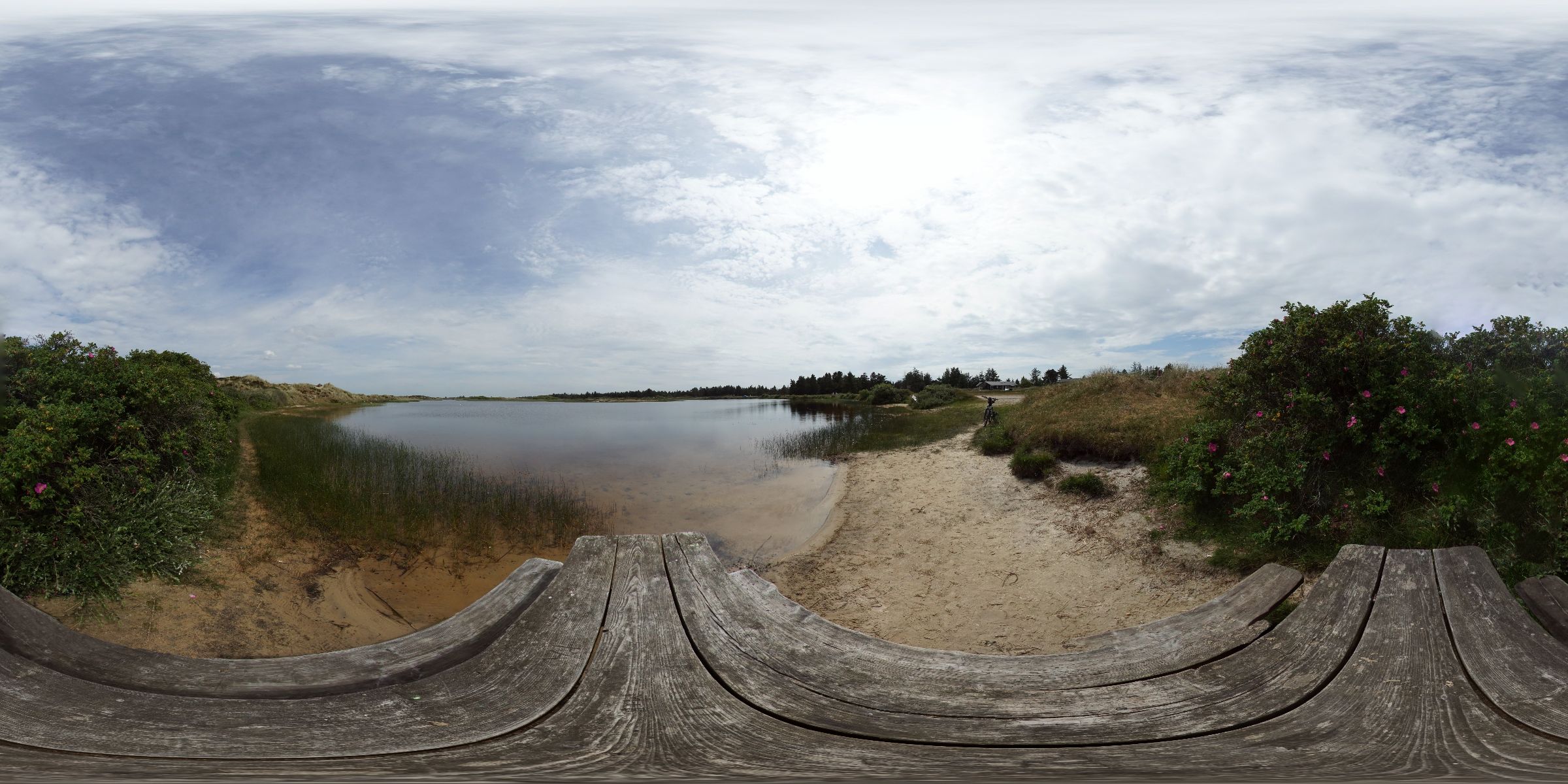 Fischteich Vejers Strand Dänemark