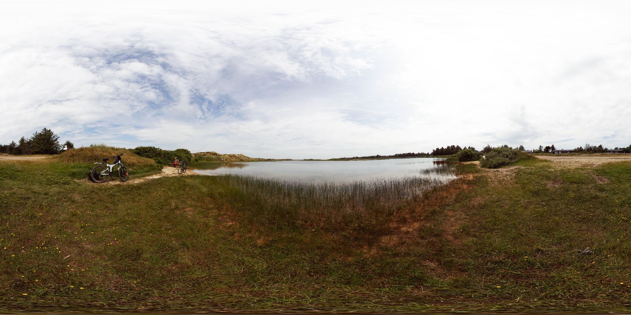 Fischteich Vejers Strand Dänemark