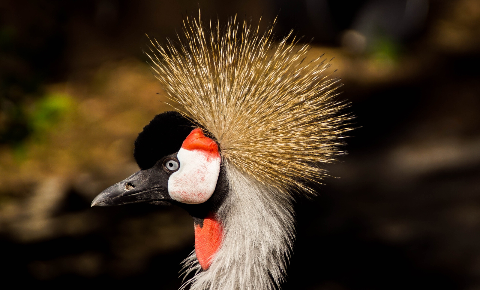 Vogelpark Walsrode S3